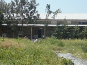 P1030265