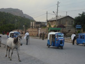 P1030330