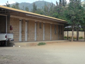 P1030338
