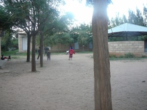 P1030356